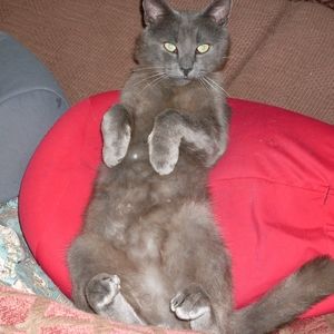 Meet your Posher, Michael